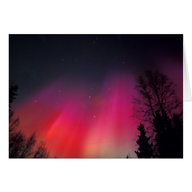 NA, USA, Alaska, Fairbanks, Vorhänge von rosa und (Vorderseite (Horizontal))