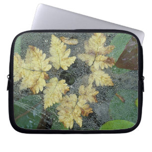 NA, USA, Alaska, Nancy Lake. Taub auf Spinnennetz Laptopschutzhülle