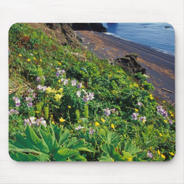 NA, USA, Alaska, Semidi-Inseln, Wildblumen Mousepad (Vorne)