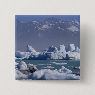 NA, USA, Alaska, St. Elias-Gebirge, Alsek-Fluss, Button