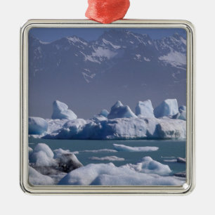 NA, USA, Alaska, St. Elias-Gebirge, Alsek-Fluss, Ornament Aus Metall