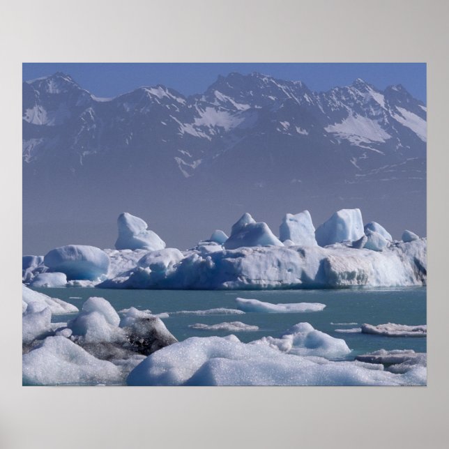 NA, USA, Alaska, St. Elias Range, Alsek River, Poster (Vorne)