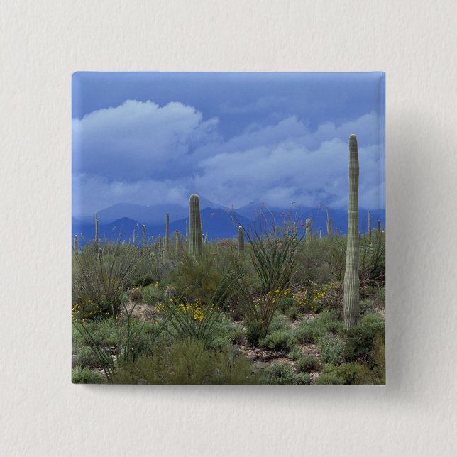 NA, USA, Arizona, Saguaro National Monument, Button (Vorderseite)