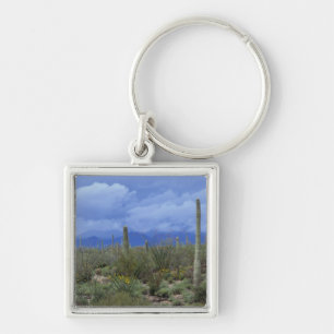 NA, USA, Arizona, Saguaro-Nationalmonument, Schlüsselanhänger