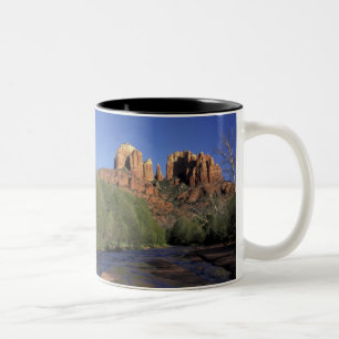 NA, USA, Arizona, Sedona. Domstein und Eiche Zweifarbige Tasse