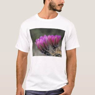 NA, USA, Arizona, Sonoran-Wüste. Igel T-Shirt