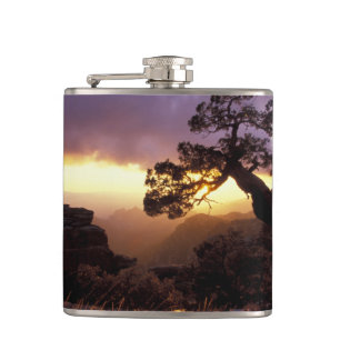 NA, USA, Arizona, Tucson, Sonnenuntergang und eins Flachmann