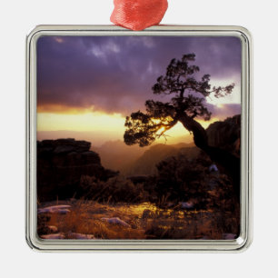 NA, USA, Arizona, Tucson, Sonnenuntergang und eins Silbernes Ornament