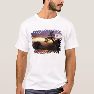 NA, USA, Arizona, Tucson, Sonnenuntergang und eins T-Shirt