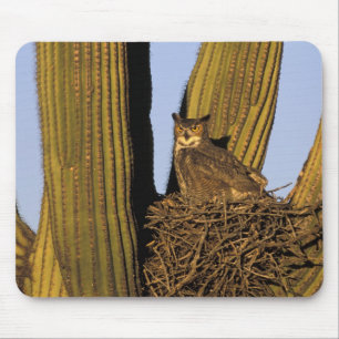 NA, USA, Arizona, Tucson. Virginia-Uhu Mousepad