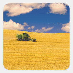 NA, USA, Bundesstaat Washington, Region Palouse, Quadratischer Aufkleber