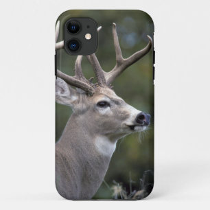 NA, USA, Bundesstaat Washington, Weißwedelhirsch, Case-Mate iPhone Hülle