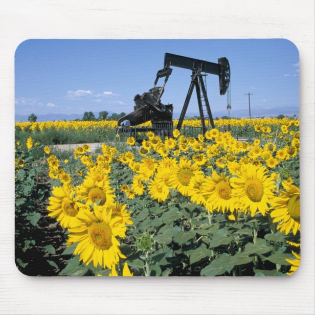 Na, USA, Colorado, Sonnenblumen, Oil Derrick Mousepad (Vorne)
