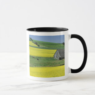 NA, USA, Idaho, bei Potlatch, Raps und alt Tasse
