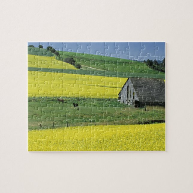 Na, USA, Idaho, nahe Potlatch, Canola und altem Puzzle (Horizontal)