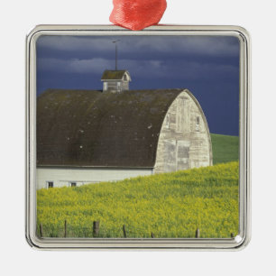Na, USA, Idaho, südlich Genesse, Canola Feld Ornament Aus Metall