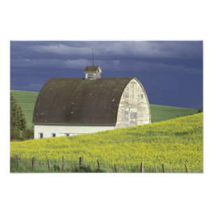 NA, USA, Idaho, südlich von Genesse, Rapsfeld Fotodruck