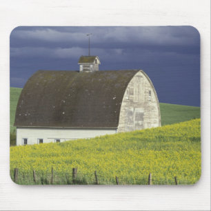 NA, USA, Idaho, südlich von Genesse, Rapsfeld Mousepad