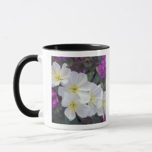 NA, USA, Kalifornien, Anza Borrego Desert State Tasse