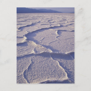 NA, USA, Kalifornien. Death Valley National Postkarte