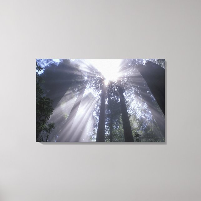 NA, USA, Kalifornien. Del Norte Coast Staat 2 Leinwanddruck (Vorderseite)