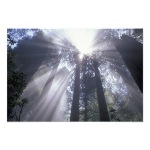 NA, USA, Kalifornien. Del Norte Coast State 2 Fotodruck
