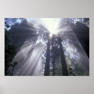 NA, USA, Kalifornien. Del Norte Coast State 2 Poster