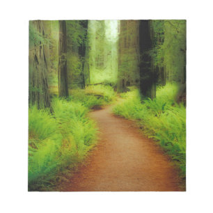 NA, USA, Kalifornien, Jedediah Smith Redwoods Notizblock