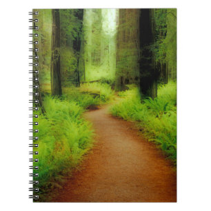 NA, USA, Kalifornien, Jedediah Smith Redwoods Notizblock