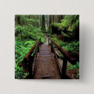 NA, USA, Kalifornien, Jedidiah Smith Redwoods Button