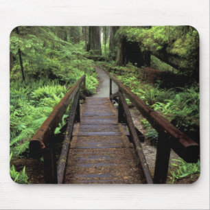 NA, USA, Kalifornien, Jedidiah Smith Redwoods Mousepad