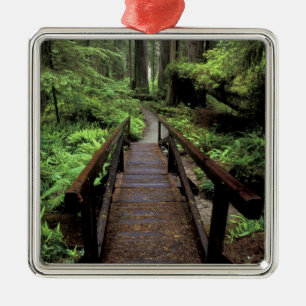 NA, USA, Kalifornien, Jedidiah Smith Redwoods Ornament Aus Metall