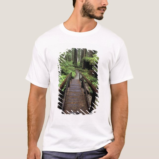 NA, USA, Kalifornien, Jedidiah Smith Redwoods T-Shirt (Vorderseite)