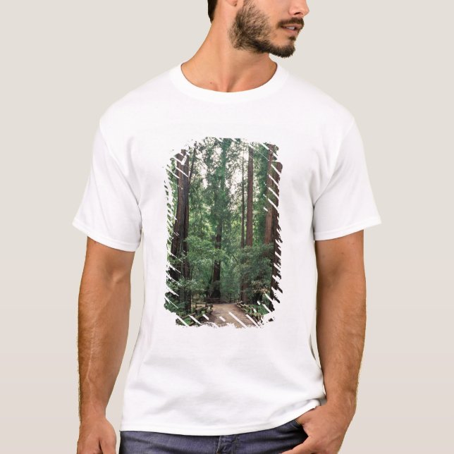NA, USA, Kalifornien, Marin Landkreis, Muir Woods T-Shirt (Vorderseite)