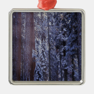 NA, USA, Kalifornien. Sequoia-Nationalpark2 Ornament Aus Metall