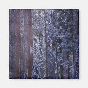 NA, USA, Kalifornien. Sequoia-Nationalpark. 2 Magnet