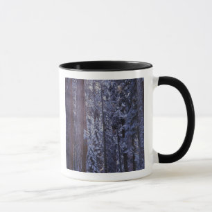 NA, USA, Kalifornien. Sequoia-Nationalpark. 2 Tasse
