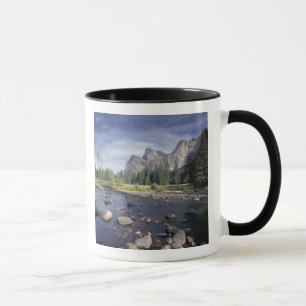 NA, USA, Kalifornien, Yosemite NP, Talblick Tasse