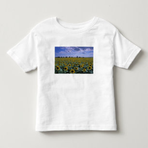 NA, USA, Kansas, Sonnenblumenernte Kleinkind T-shirt