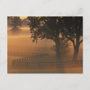 NA, USA, Kentucky. Nebeliger Sonnenaufgang in Kent Postkarte