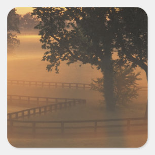 NA, USA, Kentucky. Nebeliger Sonnenaufgang in Kent Quadratischer Aufkleber