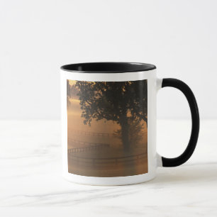 NA, USA, Kentucky. Nebeliger Sonnenaufgang in Kent Tasse