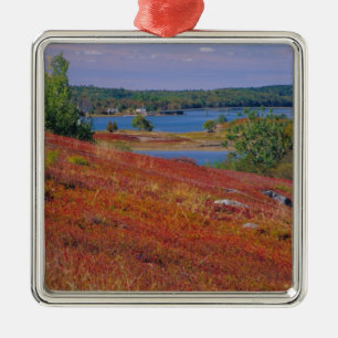 NA, USA, Maine. Blaubeer Brachland. Silbernes Ornament