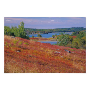 NA, USA, Maine. Blaubeer-Heiden. Fotodruck