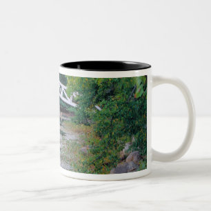 NA, USA, Maine. Brücke über einen Teich in Somesv Zweifarbige Tasse