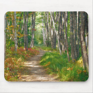NA, USA, Maine. Jessup-Pfad in Acadia National Mousepad