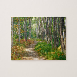 NA, USA, Maine. Jessup-Pfad in Acadia National Puzzle