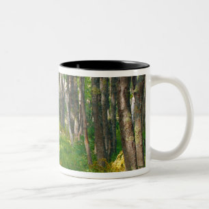 NA, USA, Maine.  Jessup-Pfad in Acadia National Zweifarbige Tasse