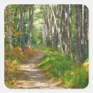 NA, USA, Maine. Jessup trail in Acadia National Quadratischer Aufkleber