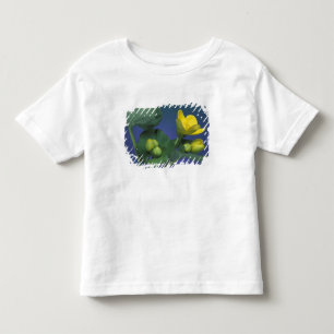 NA, USA, Michigan, Rochester Hills. Sumpf Kleinkind T-shirt
